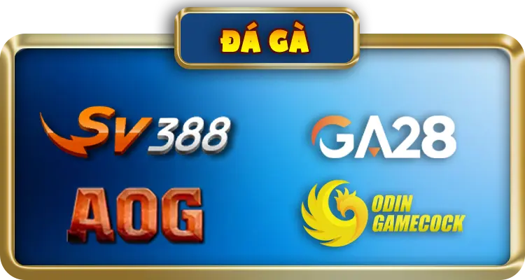 ĐÁ GÀ ST666